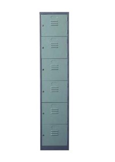 Lion 556